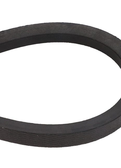 AGCO | BELT - D41988600