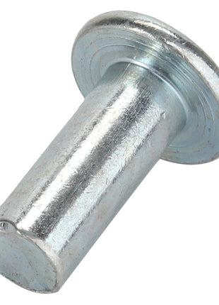 AGCO | PIN - D40386500