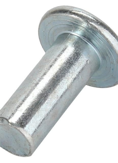 AGCO | PIN - D40386500