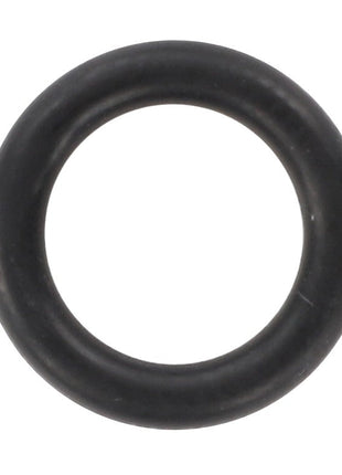 A close-up view of an AGCO | O RING - D45482400, a black rubber component, on a plain white background.