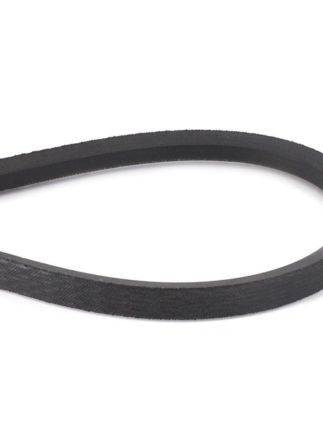 AGCO | Drive Belt, Radiator - D41905300