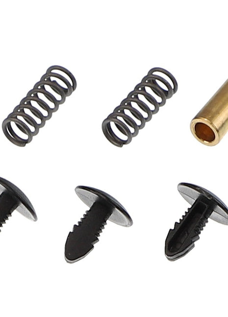 The image features components from the AGCO | SMALL PARTS KIT - F737812330100, which includes two metallic springs, a brass cylindrical piece, and three black plastic rivets, all set against a white background.