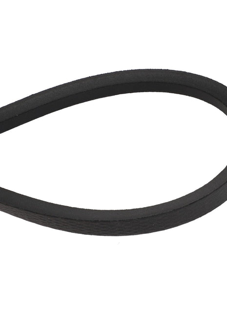 Close-up image of the AGCO | BELT - ACY1583570, a black, V-shaped belt designed for use in machinery and automotive engines. Made of rubber with a smooth surface. No information available on its origin or manufacturing process.