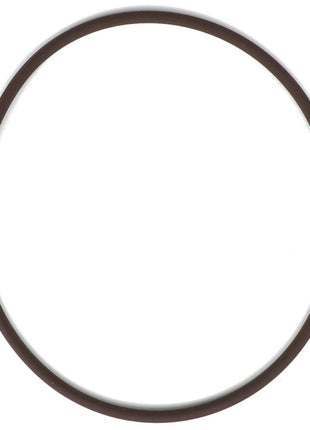 A slim, dark-colored rubber band sits in a circular loop against a stark white background. This is the AGCO O-RING - AG709343 from the renowned brand, AGCO.