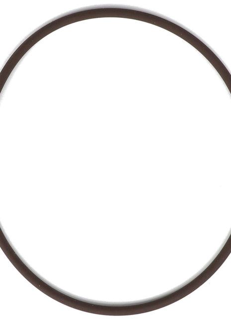 A slim, dark-colored rubber band sits in a circular loop against a stark white background. This is the AGCO O-RING - AG709343 from the renowned brand, AGCO.