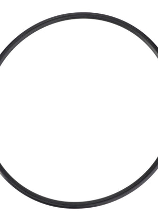 A high-quality AGCO seal, model F119200210250, featuring a black circular rubber O-ring, isolated on a white background.