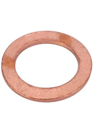 AGCO | Sealing Ring - 3005043X1 - Farming Parts