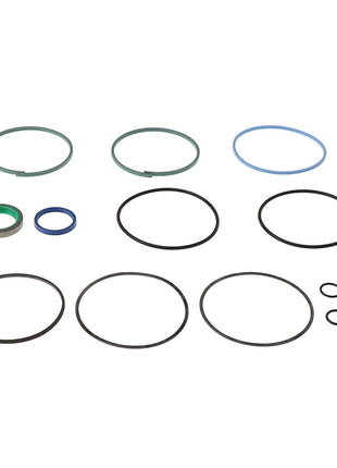 A meticulously arranged collection of variously sized rubber and metal O-rings from the AGCO Seal Kit - Acp0015980, displayed in neat rows on a white background. No current product description available.