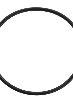 AGCO | O RING - D45481600