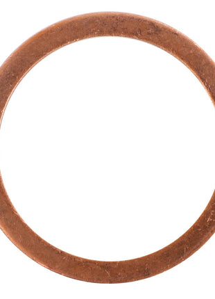 A circular copper washer with a smooth and flat surface. Product Name: AGCO | Washer - Acp0410990, Brand Name: AGCO.