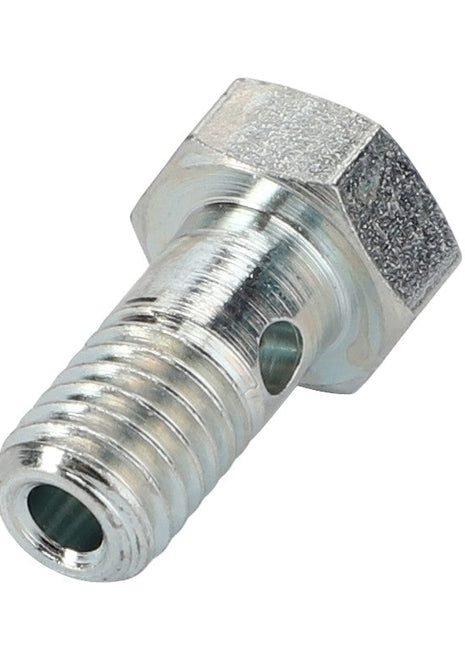 A close-up of the AGCO | Banjo Bolt - Acp0666730, showcasing its metallic finish, threaded shaft, and a side hole. Please note, no current product description is available for this item.