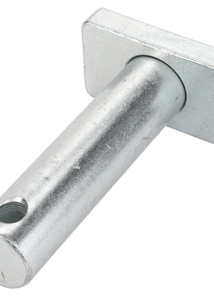 AGCO | Pin - Acp0514580 - Farming Parts