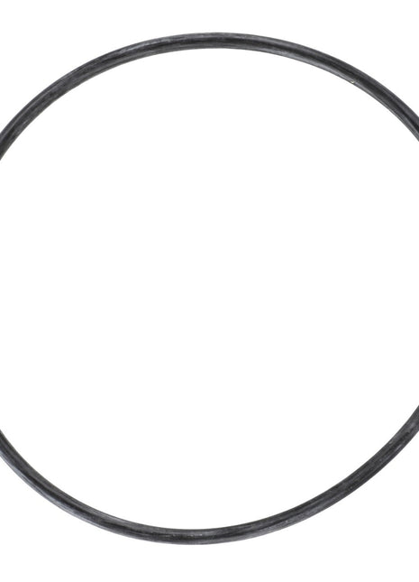 The AGCO | O Ring - Acp0287390, a black rubber O-ring from the brand AGCO, is displayed against a stark white background, accentuating its perfectly round shape.