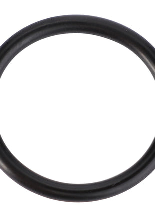 A single black AGCO rubber O-ring, Engine Stop - F119200210740, made from high-quality materials, against a white background.