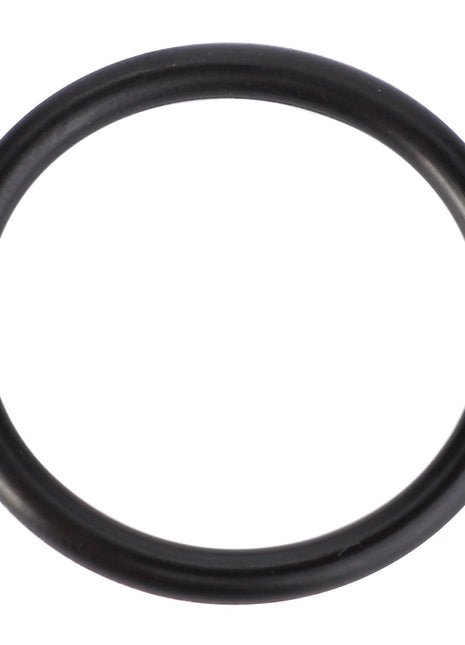 A single black AGCO rubber O-ring, Engine Stop - F119200210740, made from high-quality materials, against a white background.