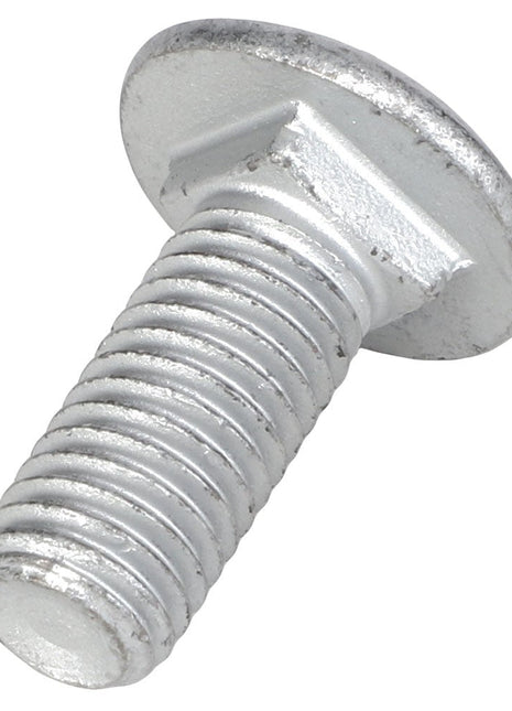 Close-up of the AGCO Round Head Square Neck Carriage Bolt (Acw0998660) with threads along the shaft.