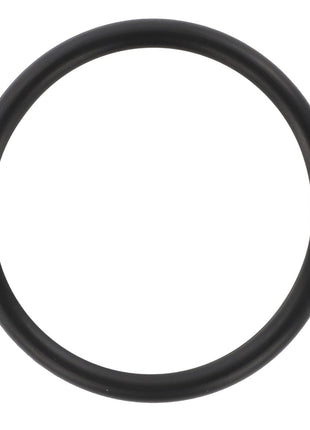 A black rubber O-ring, AGCO | O Ring - 1749440M1, with a circular shape on a plain white background, suitable for Fendt Models and Massey Ferguson Models.