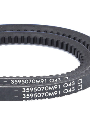 AGCO | V-Belt, Sold As A Matched Pair - 3595070M91 - Massey Tractor Parts