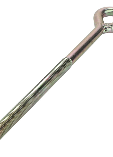 The AGCO | Eye Bolt - Acw2003360 from AGCO features a threaded shaft and an eye-shaped loop at one end. No current product description captures its versatility quite like this essential tool.