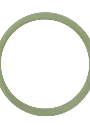 No current product description available, but the AGCO O-Ring Seal - F530200210590 features a circular shape with a smooth, polished surface.