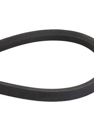 A black rubber V-belt looped in an oval shape against a white background, identified as AGCO | BELT - D41933400.