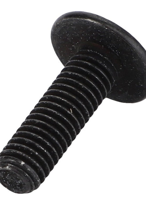 Close-up of the AGCO Torx Head Screw - Acw5572010, featuring a black, threaded design with a round, flat head. No current product description information available.