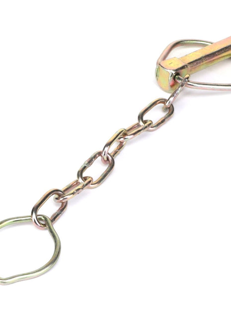 The AGCO | CHAIN - 0.001.3041.3 is a metallic chain link featuring a clasp on one end and a double-loop ring on the other end. For ordering details, please contact our support team.