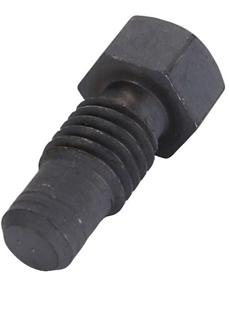 Close-up of the AGCO Hex Head Bolt - 3389405M1 by AGCO, featuring a black metal hex head with a 22.84mm width, threaded end, and angled slightly to the right.