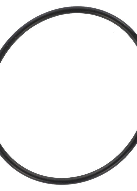 AGCO | O-Ring - 3019474X1 - Massey Tractor Parts