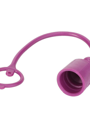 AGCO | Plug - Acp0671370 - Farming Parts