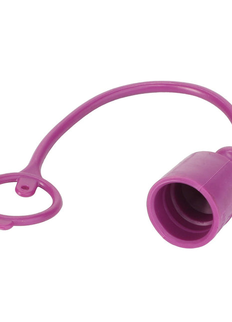 AGCO | Plug - Acp0671370 - Farming Parts