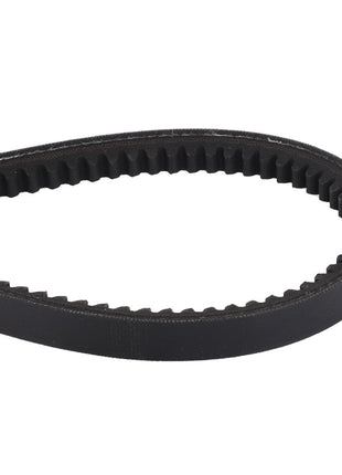 Close-up view of the AGCO Drive Belt, Hydraulic Pump Drive - D41903700, featuring a black rubber construction with a toothed inner surface, designed for optimal performance and noise reduction.