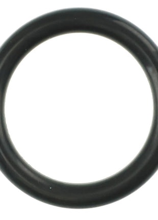 A black rubber O-ring in a circular shape, part of the AGCO | O-RING KIT - AG334903, set against a white background. No current product description information is available.