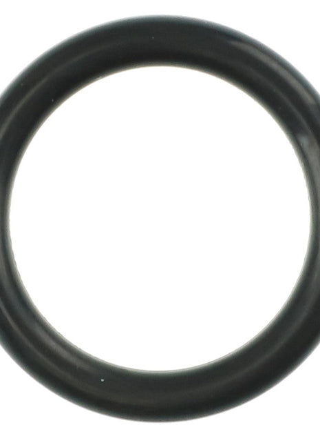 A black rubber O-ring in a circular shape, part of the AGCO | O-RING KIT - AG334903, set against a white background. No current product description information is available.