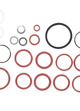 A collection of various-sized components from the AGCO Seal Kit, Directional Valve - F117961022010, including rubber O-rings, gaskets, and metal washers, arranged on a white background.