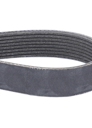 The AGCO Serpentine Belt, model F339202040050 with a Pk8 profile, is black and features coiled grooves on its inner surface to ensure optimal performance, ideal for automotive or machinery applications.