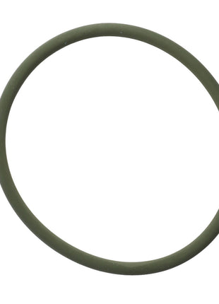 The product, AGCO | Seal - F524200040220, is displayed as a green, circular rubber O-ring against a plain white background.