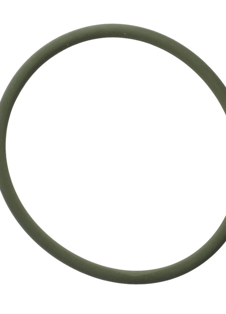 The product, AGCO | Seal - F524200040220, is displayed as a green, circular rubber O-ring against a plain white background.
