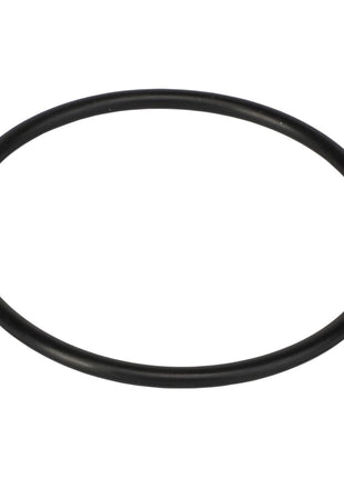 AGCO | O RING - AG703848