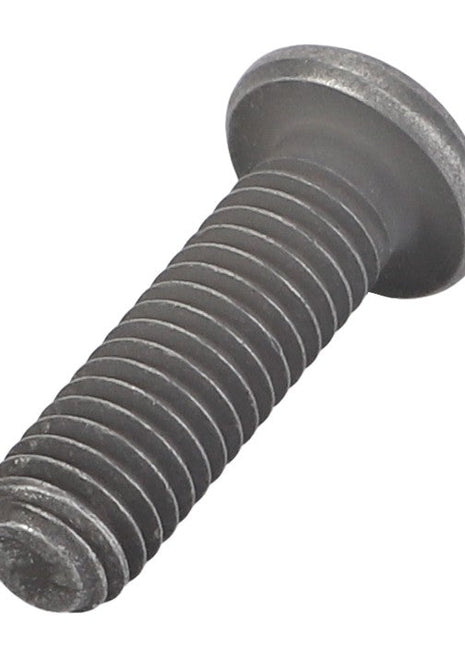No current product description is available for this close-up image of an AGCO Round Head Screw - Acp0702520 with a flat head and threaded shaft.