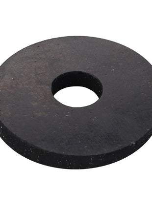 AGCO | WASHER - V30752500