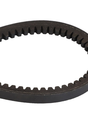 A toothed rubber timing belt from AGCO | V BELT - D41990009 displayed on a white background. No current product description information is available.