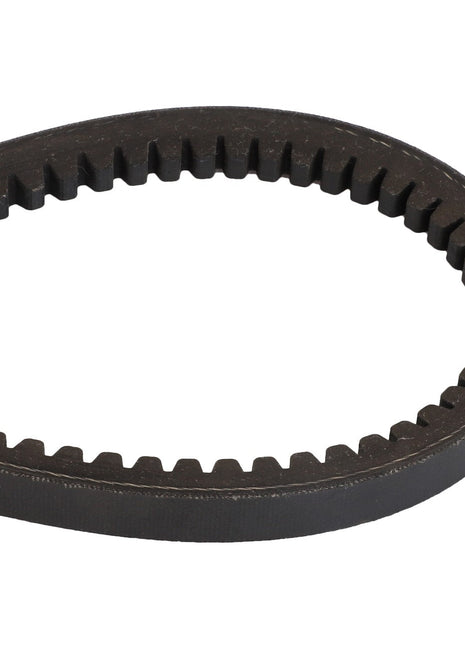 A toothed rubber timing belt from AGCO | V BELT - D41990009 displayed on a white background. No current product description information is available.