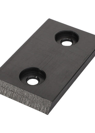 AGCO | Plate - La321943850, a rectangular metal component with two circular holes and a single beveled edge.