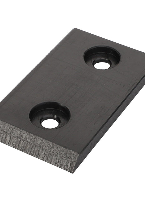 AGCO | Plate - La321943850, a rectangular metal component with two circular holes and a single beveled edge.