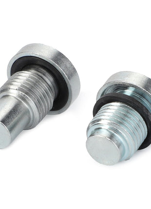 Two AGCO metallic bolts with threaded shafts and flat heads, each paired with a black rubber washer, from the Plug Kit - Acw1748270.