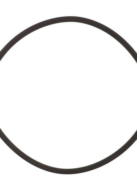 An image of the AGCO | O-Ring - Acp0445890, made from black rubber and slightly misshapen from a perfect circle, on a white background. No current product description available.