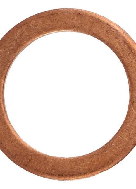 A single, circular copper washer with a smooth surface and an open center hole, commonly used in plumbing and automotive applications, branded as AGCO | WASHER - AL5013610.