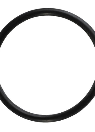 A circular black rubber O-ring, AGCO | O RING - AG519378 by AGCO, is displayed on a white background. No current product description information is available.