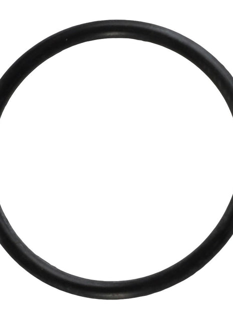 A circular black rubber O-ring, AGCO | O RING - AG519378 by AGCO, is displayed on a white background. No current product description information is available.
